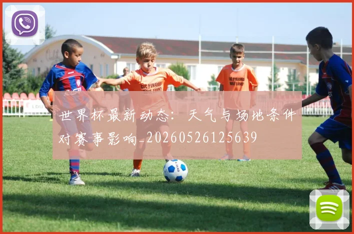世界杯最新动态：天气与场地条件对赛事影响_20260526125639